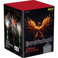 Nico   Paradiesvogel  F3