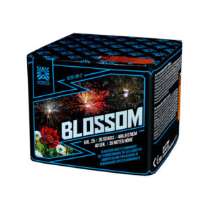 ARGENTO  "Blossom"
