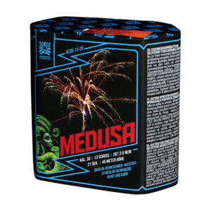 AC30-13-26 Medusa product-550x550 ARGENTO "Medusa"