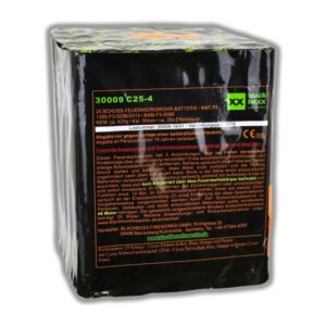 Blackboxx Cycas Palmen CZ 25-4 / F3