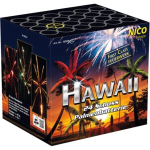 Nico   Hawaii
