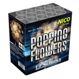Nico   Popping Flowers